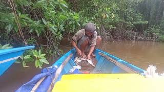 Bermalam di perahumasak ikan tirusan yang harga nya mahal [upl. by Mohkos]