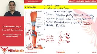 Patología de esófago  Gastroenterología  Villamedic Clínicas 2021 [upl. by Nosro]