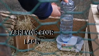 Abreuvoir Pour Lapin Facile et Efficace [upl. by Myrtie]