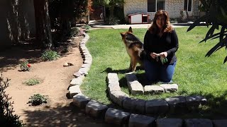 How To Install Tumbled Stone Landscape Edging  birdhouse garden [upl. by Amaris402]