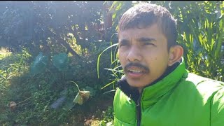 गाउँ घरमा रमाइलो गर्दै  Bimal Neupane [upl. by Aigroeg]