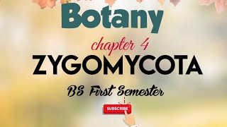 Zygomycota Botany Chapter 4 Bs first semester biologystudy [upl. by Notliw]