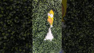 Recreating Homer Simpson meme at D23 homersimpson thesimpsons bushes memes disney d23 ign [upl. by Zosi]