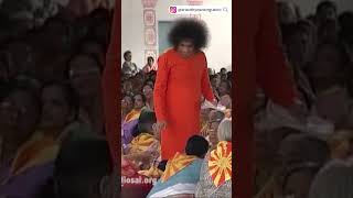 Devi Bhavani Maa shorts navaratri bhajan [upl. by Adimra831]