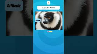 Guess That Animal Can You Name Them All shorts animals smarttrivia [upl. by Kcam]