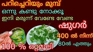 വെറുതെ പിഴുതുകളയല്ലേ ഇനി മരുന്നു കഴിക്കേണ്ട ഷുഗർകൊളസ്ട്രോൾബിപിയൂറിക് ആസിഡ് അടുക്കില്ല 100 Useful [upl. by Kunkle170]