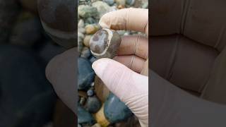 xzs Agate stone 54k shorts viralshorts youtubeshorts gemstone diamond [upl. by Jen175]