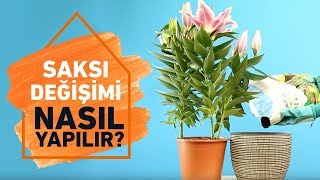 Çiçeklerde Saksı ve Toprak Değişimi Pratik Çözümler  Koçtaş ile Nasıl Yapılır [upl. by Adeys822]