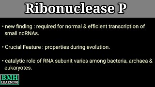 RNAse P  Ribonuclease P  Types Of RNAses [upl. by Izmar468]