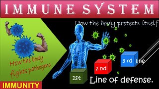 The Immune System  NonSpecific and Specific immunity  How the body fights Viruses Pathogens [upl. by Yartnoed]