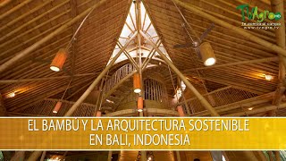 El Bambu y la Arquitectura Sostenible en Bali Indonesia  TvAgro por Juan Gonzalo Angel Restrepo [upl. by Acissj]