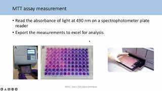 BE553 Topic 2 Tutorial 2 Analysing viability assays and IC50s [upl. by Chaney]