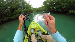 Didnt Expect This MultiSpecies Kayak Fishing Fort Pierce Florida [upl. by Gilberte]