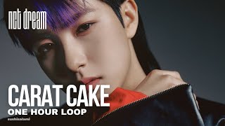 NCT DREAM 엔시티 드림  Carat Cake 1 hour loop [upl. by Portwin]