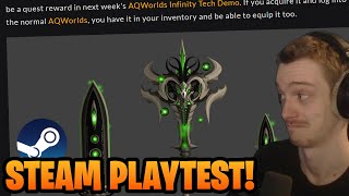 AQW Infinity Steam Playtest Rare Playtest Reward [upl. by Eiraminot795]