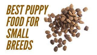 Best Puppy Food For Small Breeds – Picking The Right Dog Food Brand For Your New Dog [upl. by Ydderf]