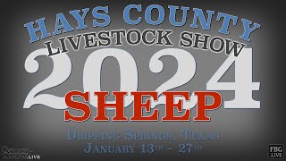 2024 Sheep Show  Hays County Youth Livestock Show [upl. by Brenk163]