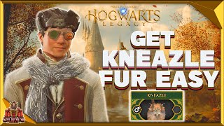 Hogwarts Legacy How To Get Kneazle Fur  Best Location To Capture Kneazles Easy [upl. by Ettennod]