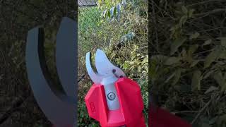 Milwaukee M12 Shears Initial Test [upl. by Klute]