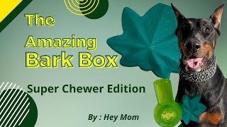 Super Chewer Unboxing April 2022 Review of the Bark Box 420 Edition [upl. by Ahsac222]