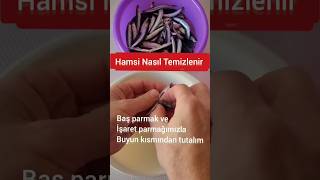 Hamsi Nasıl Temizlenir Balık Nasıl Temizlenir Küçük Hamsi Nasıl Temizlenir Hamsi Nasıl Ayıklanır [upl. by Pevzner877]