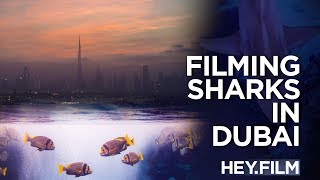 Filming Sharks in Dubai  Heyfilm podcast ep51 [upl. by Assedo]