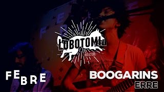 Boogarins  Erre  Festival Febre [upl. by Naillimxam32]