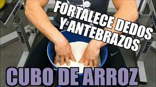 Entrenamiento efectivo de AGARRE Antebrazo y dedos [upl. by Noirret]