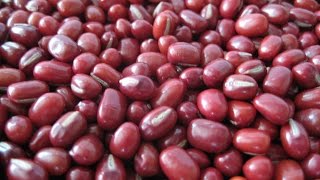 Boiled Adzuki Beans  Nutritional Information [upl. by Bebe89]