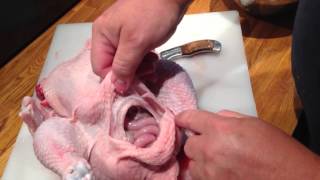 Éviscération dun poulet fermier  how to eviscerate a chicken french [upl. by Synn]