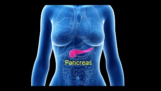 Pancreas Prof Dr Md Ashfaqur Rahman [upl. by Triley]