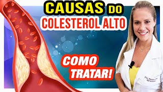 ISSO VAI TE DEIXAR COM COLESTEROL ALTO Cuidados Como Prevenir e Tratar [upl. by Kizzie]