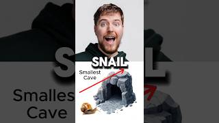 🐌 vs 🐆 – Epic Cave Race Who Wins [upl. by Eimmis]