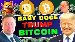 12569 Rise  Baby dogecoin news today hindi  Baby doge price prediction babydogecoin [upl. by Maxwell]