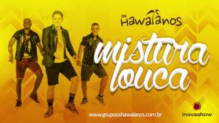 Os Hawaianos  Mistura Louca CD Festinha [upl. by Anitnauq]