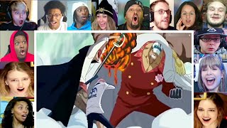 Shanks stops the war Reaction Mashup  One Piece episode 488 Reaction Mashup [upl. by Ylerebmik]