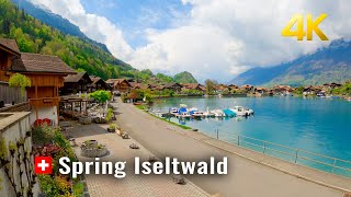 Switzerland 🇨🇭 Iseltwald Spring walk a gem located on Lake Brienz Iseltwald Switzerland 4K [upl. by Nilcaj]