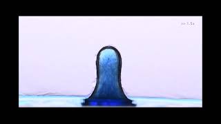 The shaky life of a water drop in an anise oilrich environment [upl. by Zosi370]