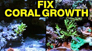 Top 10 Reasons Your Corals Are Not Growing and How to Fix Them [upl. by Oiludbo182]