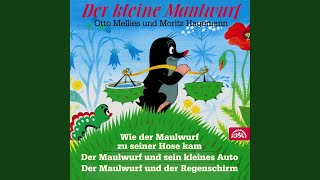 Der kleine Maulwurf  Wie der Maulwurf zu seiner Hose kam [upl. by Juliette]