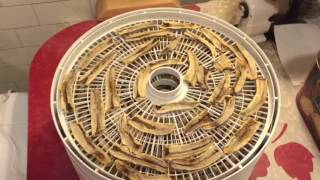 Dehydrating Bananas [upl. by Noyart97]