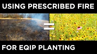 Prescribed Fire Tips  Using Fire For EQIP Planting Prep [upl. by Hailat]