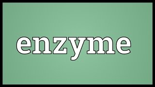 Enzyme Meaning [upl. by Sidnee]