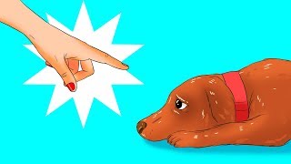 Köpeğinize Farkında Olmadan Yaptığınız 12 Zararlı Şey [upl. by Idou]