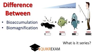 What is the Difference Between Bioaccumulation and Biomagnification [upl. by Allerus]