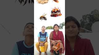 Eating sweets Fruits vs Hitting Insects amp Animals vfx magic video 🔥 shortsfeeds youtubeshortsfeed [upl. by Levitan]