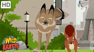 The Most Adaptable Creature  A Coyote Hunting in the City  Wild Kratts [upl. by Eilram]