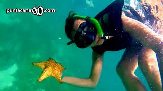 BOOK NOW Excursion a Isla Saona desde Punta Cana [upl. by Atelra]