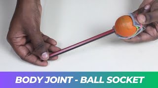 Body Joint  Ball Socket  ThinkTac [upl. by Atok]