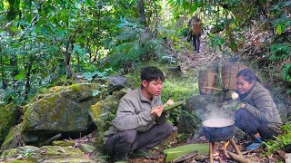 KONG amp NHAT family journey  Digging tubers harvesting Jiaogulan to sell [upl. by Onyx169]